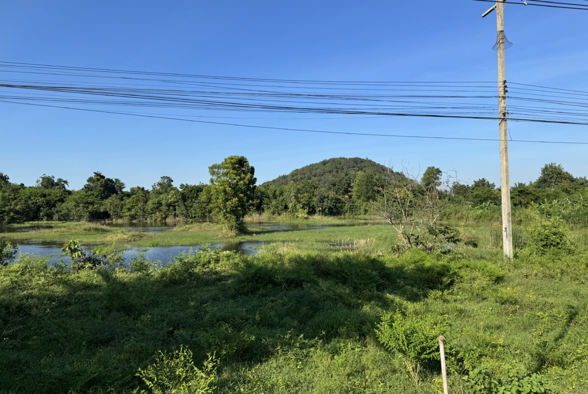 ที่ดินโพธาราม