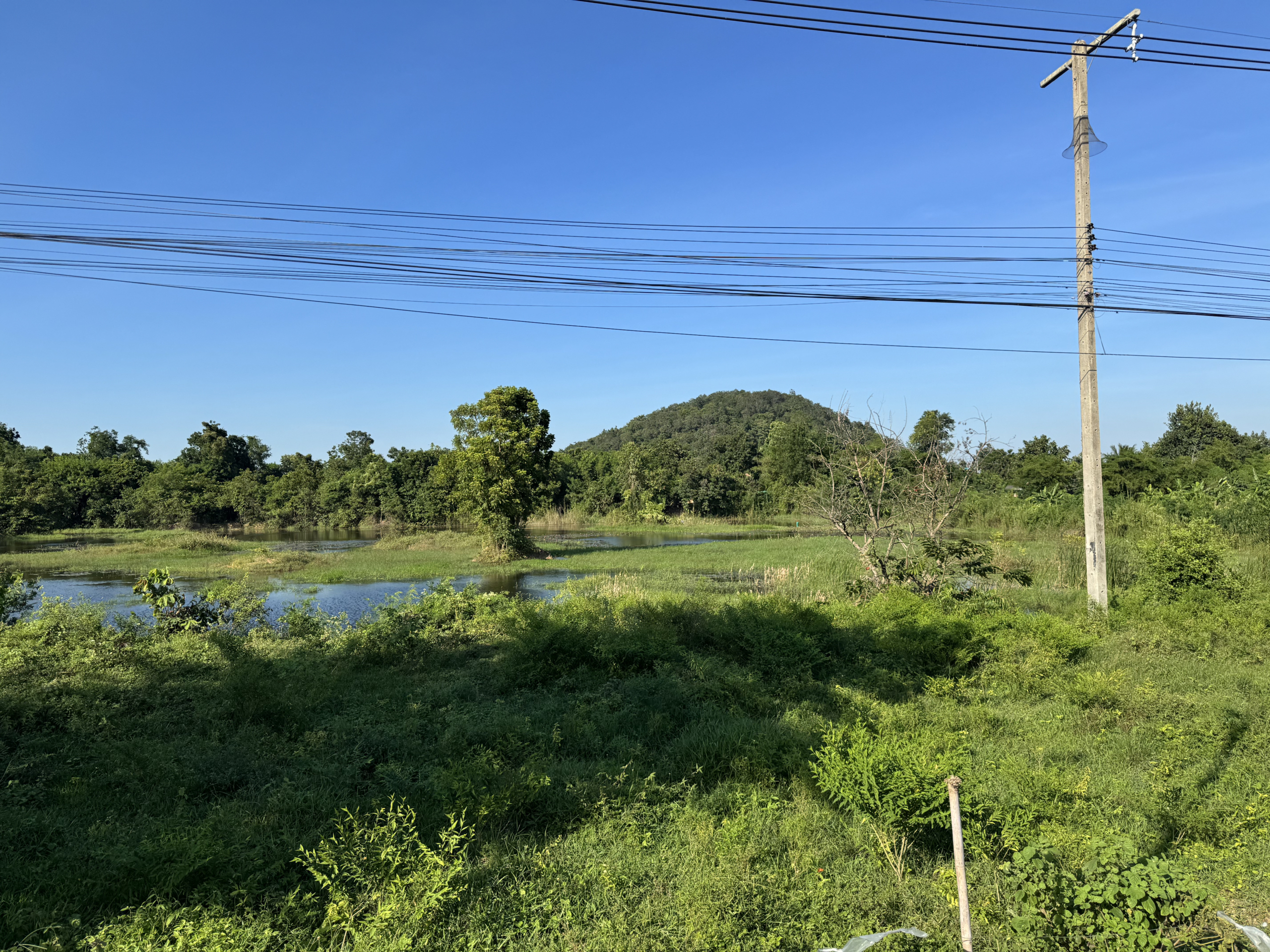 ที่ดินโพธาราม