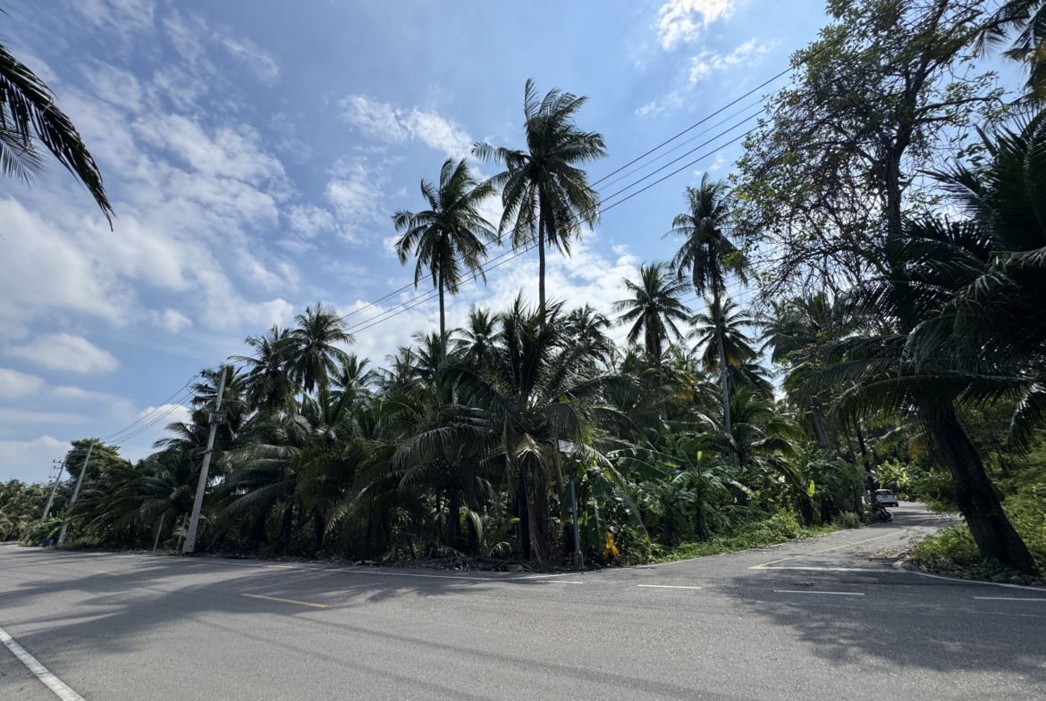 สวนมะพร้าว บางคณฑี