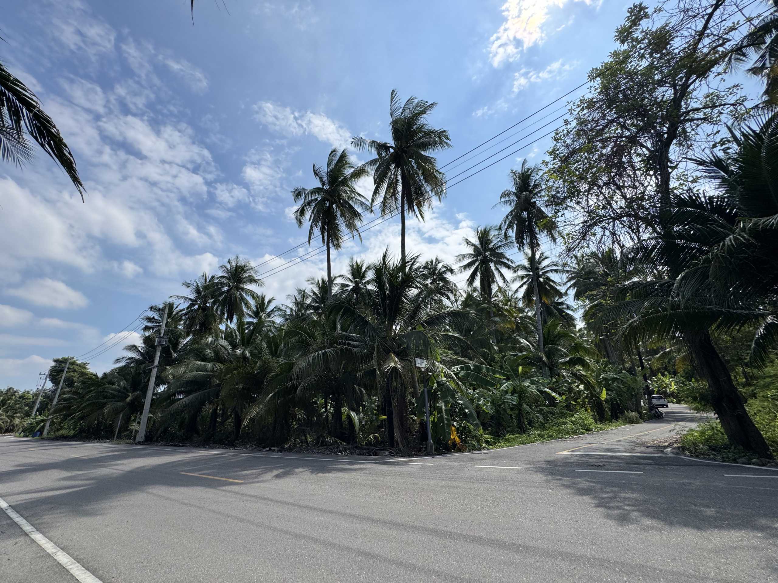 สวนมะพร้าว บางคณฑี